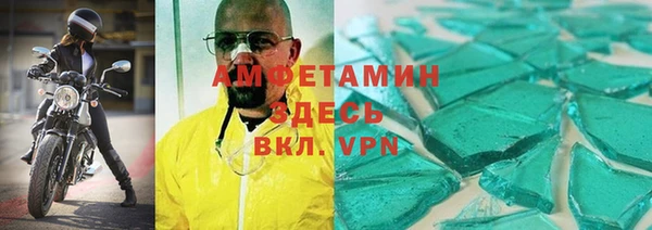 гидра Богородицк