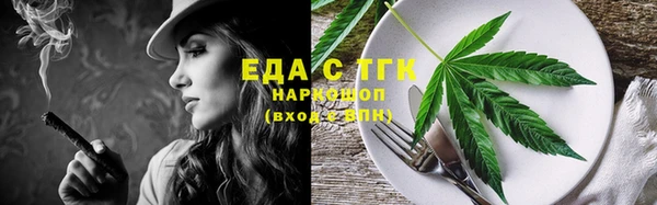 гидра Богородицк