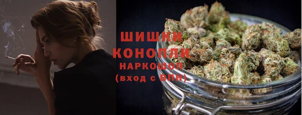 крисы Богданович