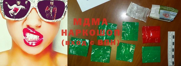 гидра Богородицк