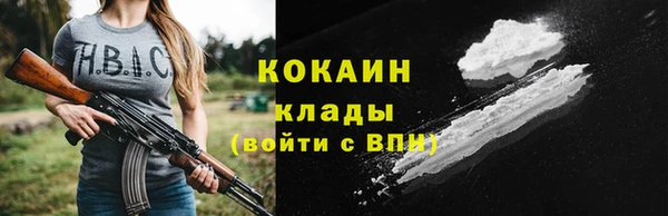 крисы Богданович