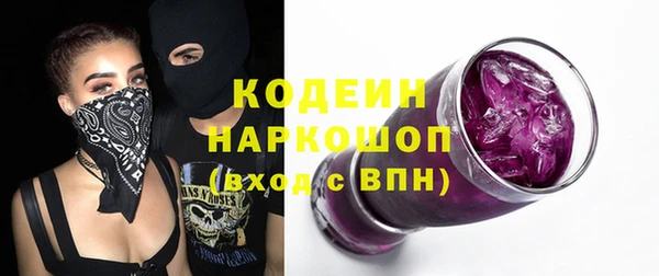 гидра Богородицк