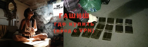 гидра Богородицк