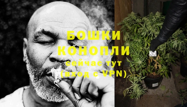 гидра Богородицк