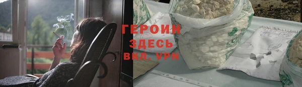 гидра Богородицк