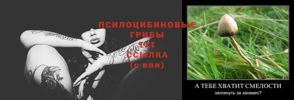 первитин Богородск