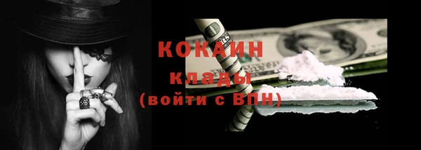 гидра Богородицк