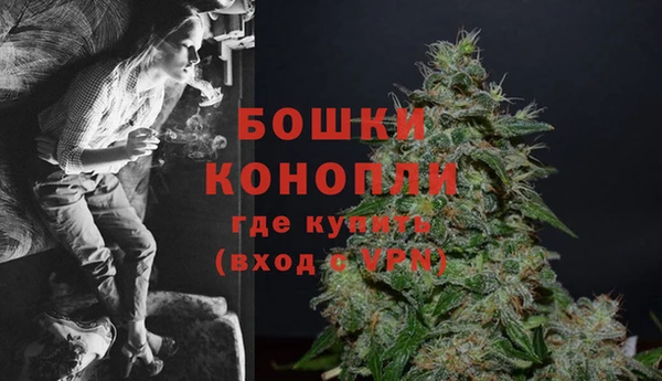 гидра Богородицк