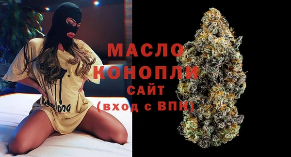 гидра Богородицк