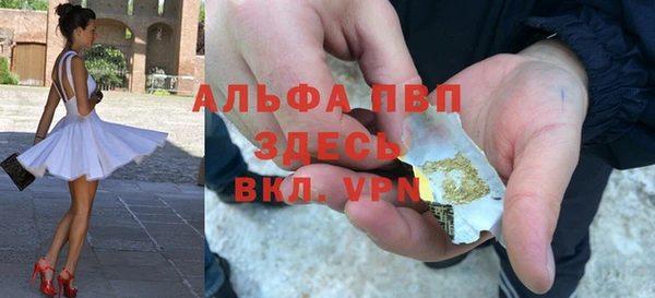 гидра Богородицк